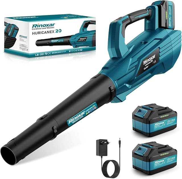 Battery Souffleur sans fil 5 vitesses brushless