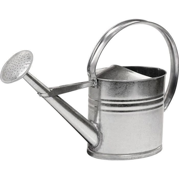 Arrosoir 10 L avec pomme